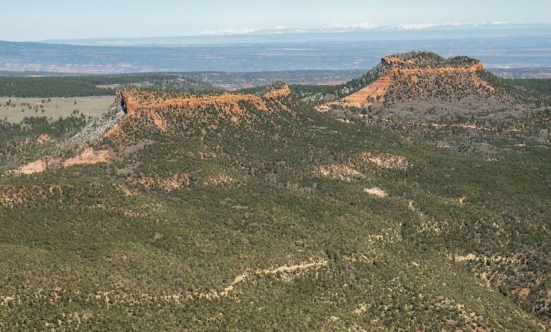 The Bears Ears management plan must include traditional Indigenous knowledge The Bears Ears management plan must include traditional Indigenous knowledge