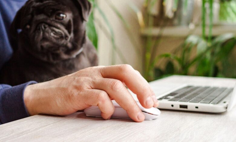 Remote Work’s Hidden Dangers Remote Work’s Hidden Dangers