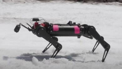 Crazy strong robotic dogs gear up for moon mission