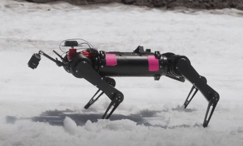 Crazy strong robotic dogs gear up for moon mission Crazy strong robotic dogs gear up for moon mission