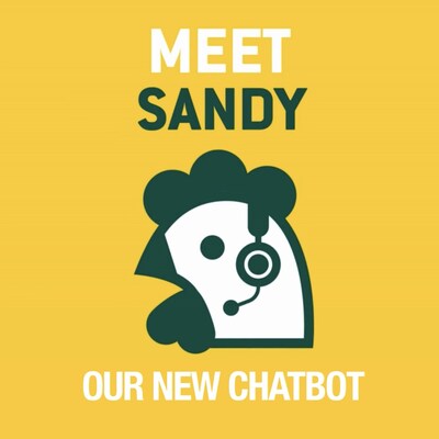 Meet Sandy our new chatbot