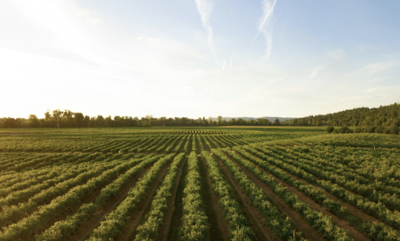 Gaucho Holdings New Business Segment Expands Their Value Proposition Within The Fintech And Real Estate Sector – Gaucho Group Holdings (NASDAQ:VINO) Gaucho Holdings New Business Segment Expands Their Value Proposition Within The Fintech And Real Estate Sector – Gaucho Group Holdings (NASDAQ:VINO)