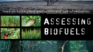 Towards sustainable production and use of resources: assessing biofuels – Summary | UNEP