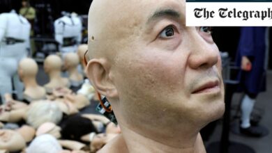 China develops hyper-realistic robots that can replicate emotion