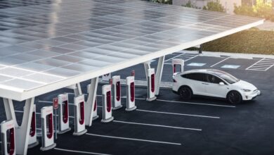 BloombergNEF shares its 2024 Electric Vehicle Outlook