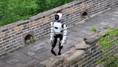 Watch AI-powered robot climb the Great Wall of China