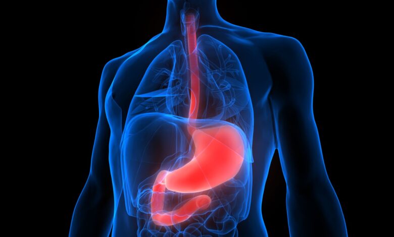 Wireless robotic device mimics esophagus, gut muscles, aids digestion Wireless robotic device mimics esophagus, gut muscles, aids digestion