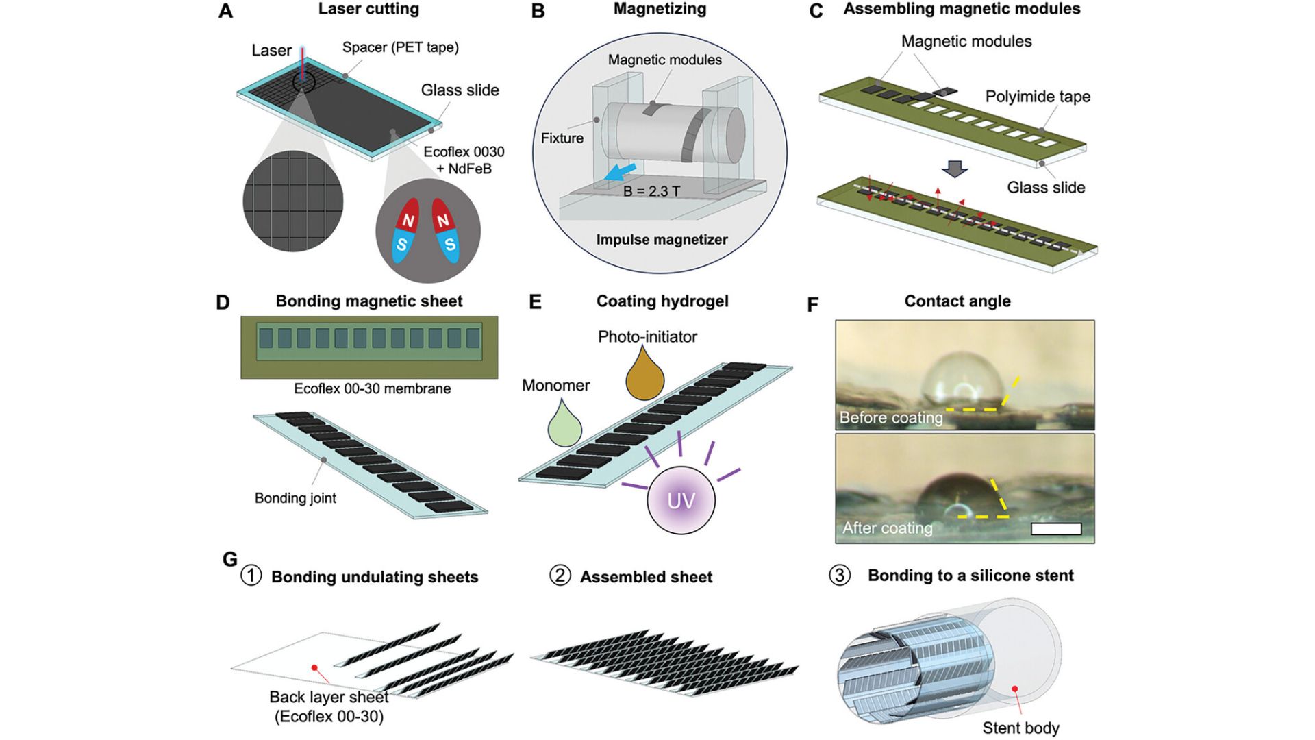 Fabricating magnetic modules with UV laser, magnetizing them, assembling into soft sheet, bonding to elastic membrane, coating with hydrogel, assembling into cylindrical pump (silicone stent).