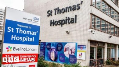 ‘Russian criminals’ behind London hospitals cyber attack