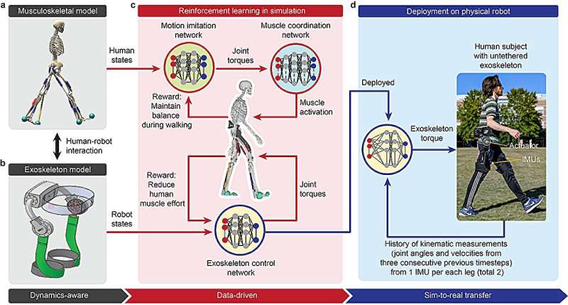 AI-powered simulation training improves human performance in robotic exoskeletons