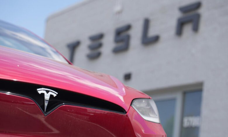 EV competitors like Ford, GM are ‘scared’ of Tesla: Investor EV competitors like Ford, GM are ‘scared’ of Tesla: Investor