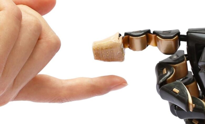 World’s first 3D e-skin gives robots human-like touching sense World’s first 3D e-skin gives robots human-like touching sense