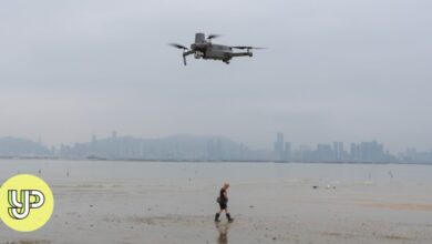 Hong Kong researchers use drones, artificial intelligence to protect horseshoe crabs – YP