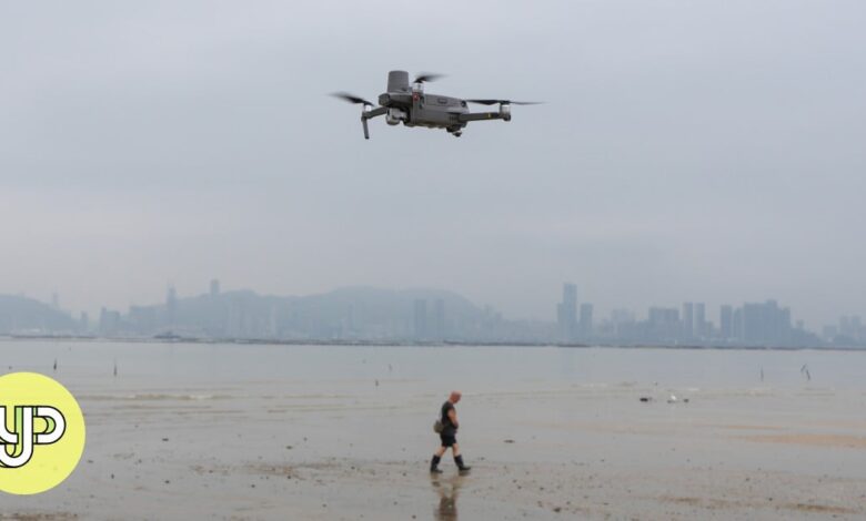 Hong Kong researchers use drones, artificial intelligence to protect horseshoe crabs – YP Hong Kong researchers use drones, artificial intelligence to protect horseshoe crabs – YP