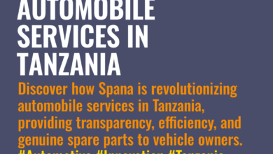 Revolutionizing Automobile Services in Tanzania