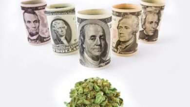 Marijuana Fintech Co. POSaBIT Reports 67% YoY Drop In Q1 Revenue, Renews Focus On Sustainable Profitability And Growth – POSaBIT Systems (OTC:POSAF)