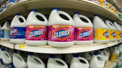 Clorox Is Accelerating Innovation With Generative AI Investment