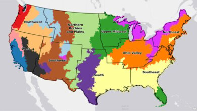 Cluster analysis in Python and ArcGIS