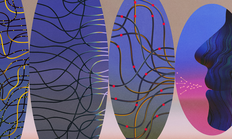 Can an emerging field called ‘neural systems understanding’ explain the brain? Can an emerging field called ‘neural systems understanding’ explain the brain?