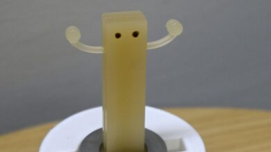 World’s 1st “edible robot” offers researchers feast of insights