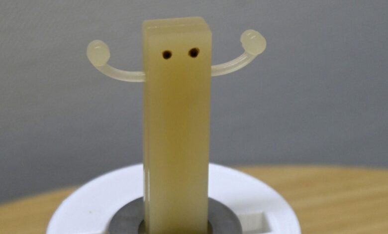 World’s 1st “edible robot” offers researchers feast of insights World’s 1st “edible robot” offers researchers feast of insights