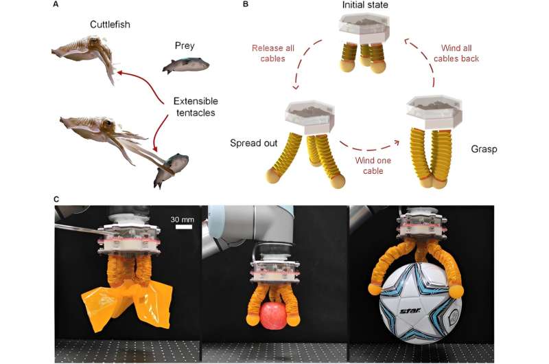 Cutting-edge robotics: Introducing the hybrid-driven origami gripper