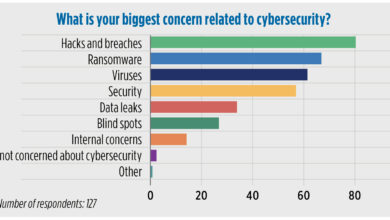 How companies are addressing cybersecurity concerns