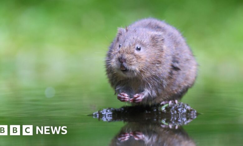 Nature groups launch legal challenge over England’s wildlife loss Nature groups launch legal challenge over England’s wildlife loss