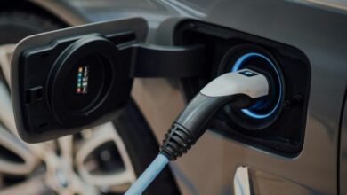 5 Points To Remember Before Buying An Electric Car In 2024