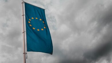 EU AI legislation sparks controversy over data transparency