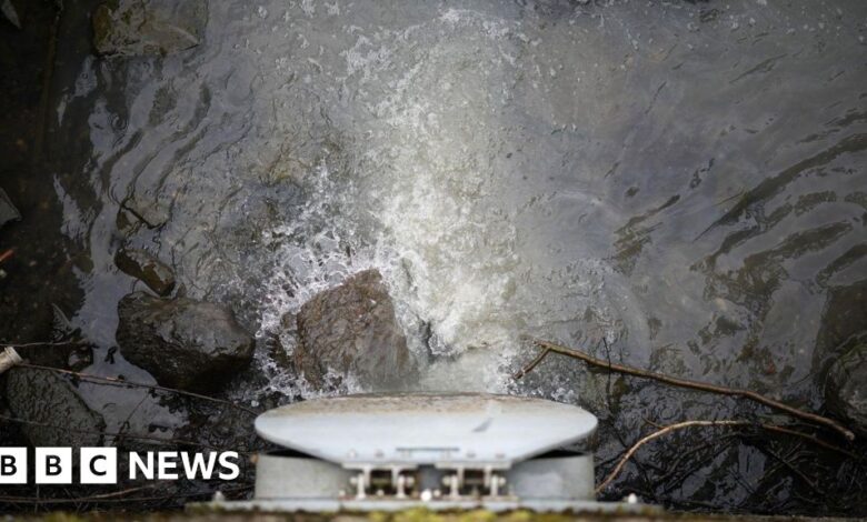 BBC uncovers 6,000 possible illegal sewage spills in one year BBC uncovers 6,000 possible illegal sewage spills in one year
