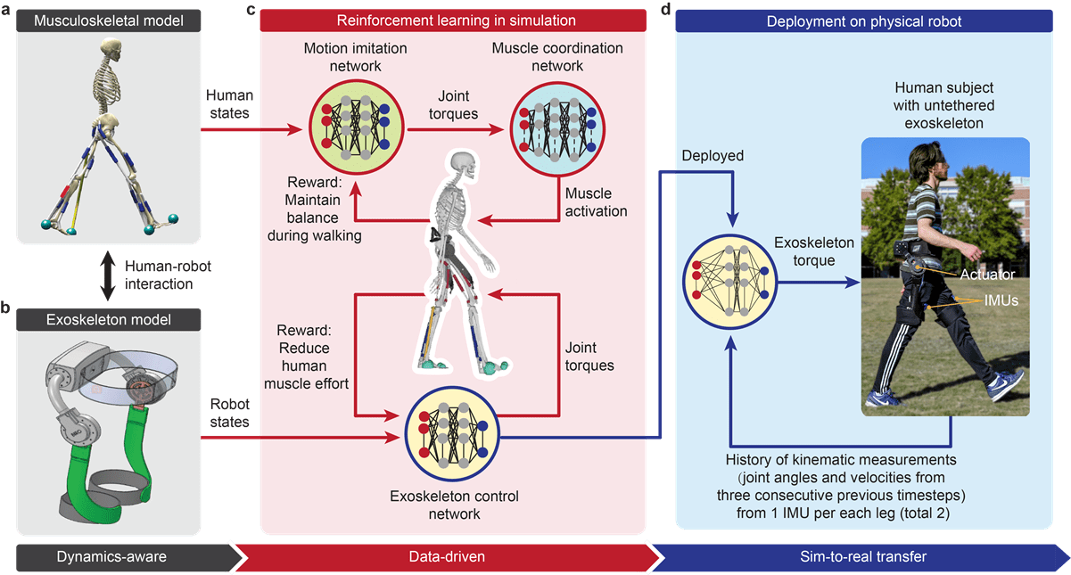 exoskeleton project