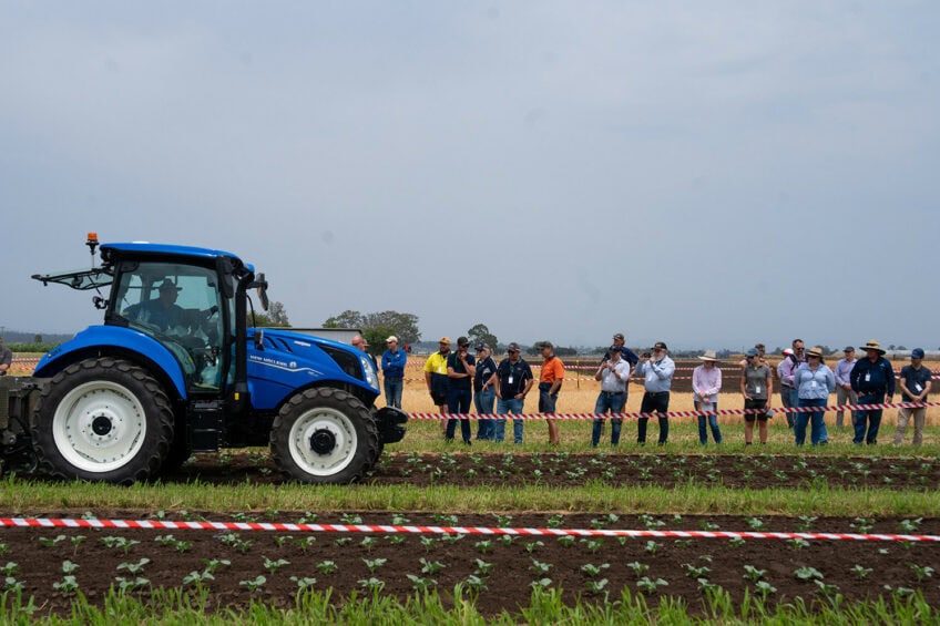 The Australian vegetable industry wants to reduce the industry’s high input costs and labour challenges that affect grower profitability. – Photo: Hort Innovation