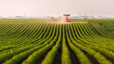 Artificial Intelligence in Agriculture is the Next Topic for SDFB Summer Event Series – Morning Ag Clips –