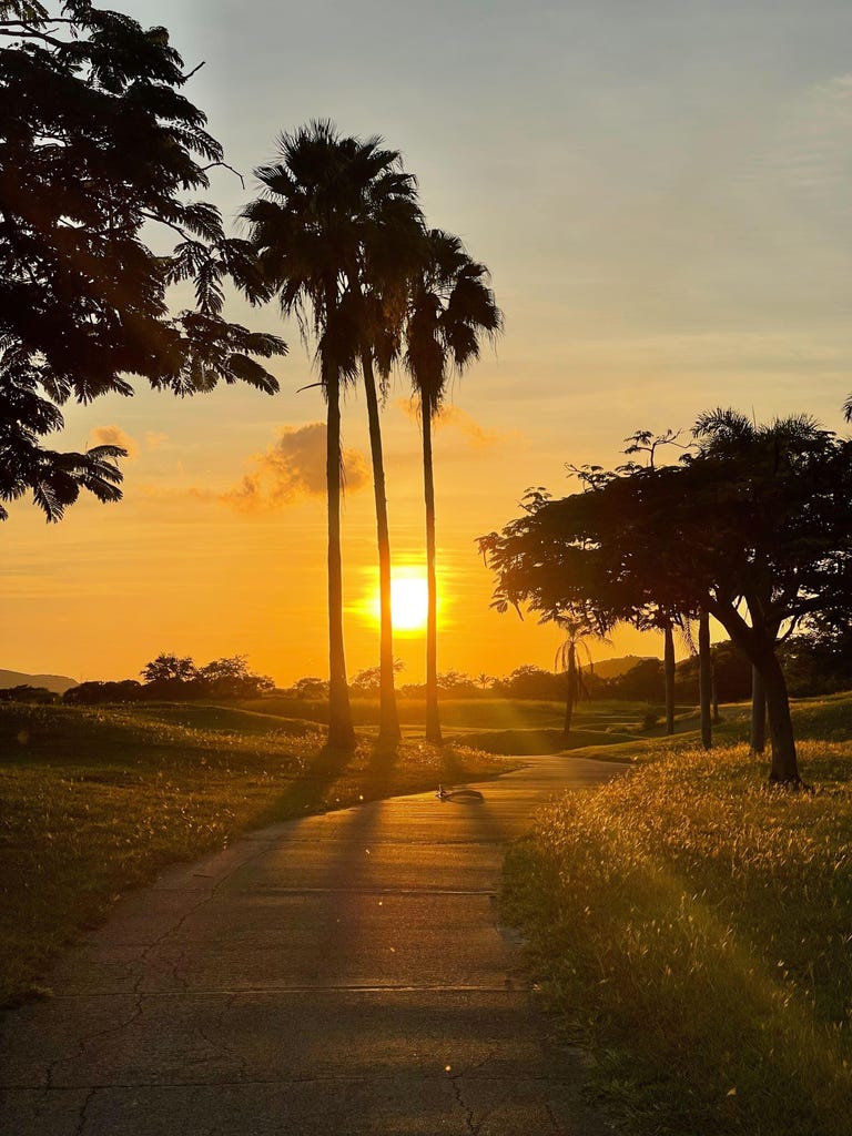 Taking a 30-minute stroll through the park in Puerto Rico.