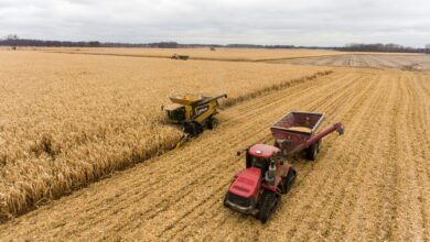 What Is the Importance of Cybersecurity in the Agricultural Sector?