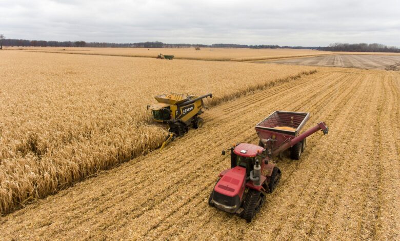What Is the Importance of Cybersecurity in the Agricultural Sector? What Is the Importance of Cybersecurity in the Agricultural Sector?