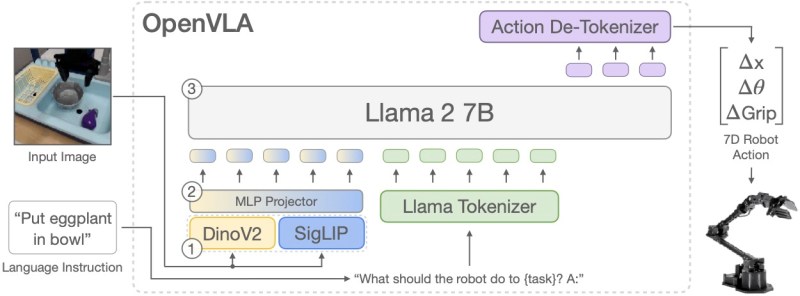 openvla_model