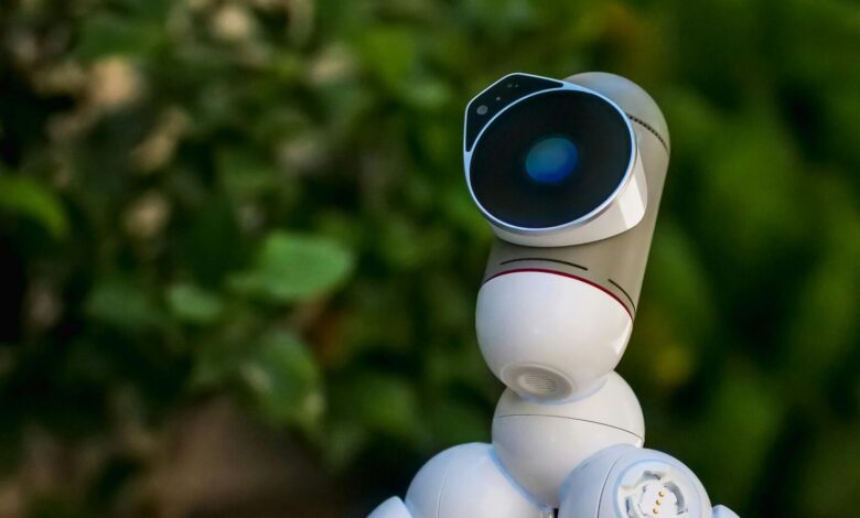 Why robots should take more inspiration from plants Why robots should take more inspiration from plants