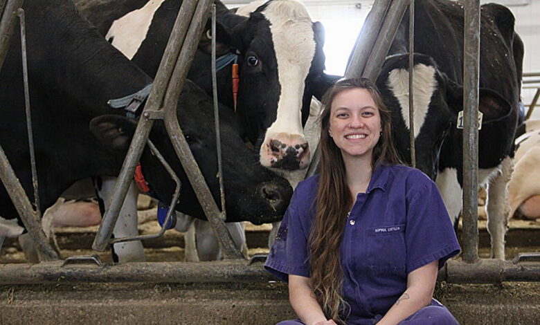 Precision nutrition for dairy cattle: Can robots help? Precision nutrition for dairy cattle: Can robots help?