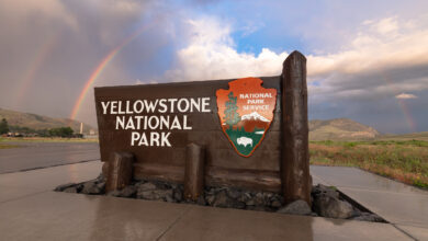 Yellowstone encourages public comment on environmental assessment proposal to improve telecommunication services to meet critical needs