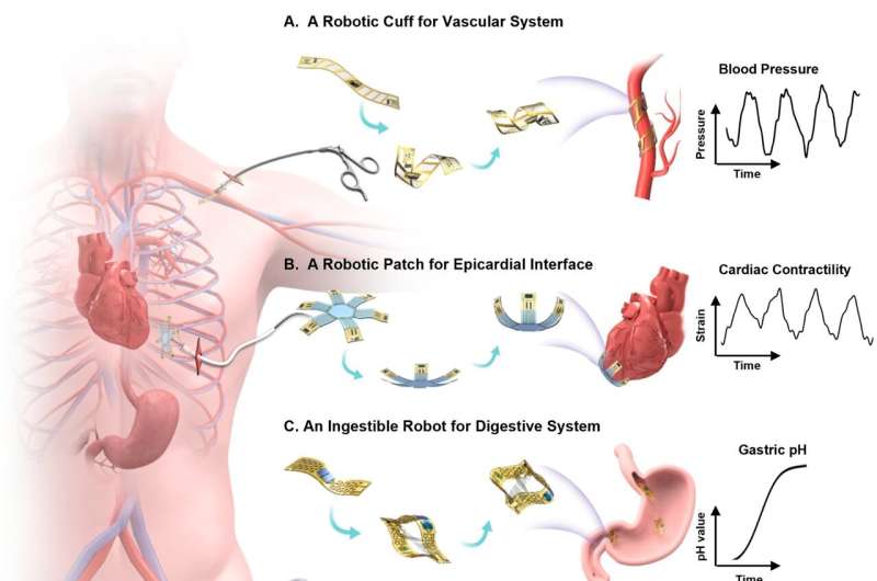 Researchers create skin-inspired sensory robots to provide medical treatment