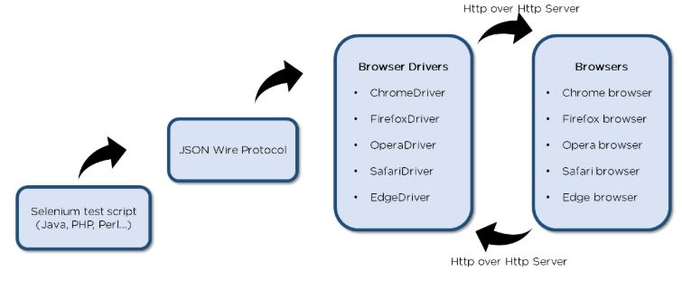 selenium-architecture