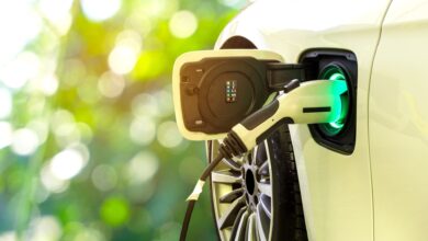 Biden Administration Enhances Fuel Standards to Boost Electric Vehicle Adoption – One Green Planet