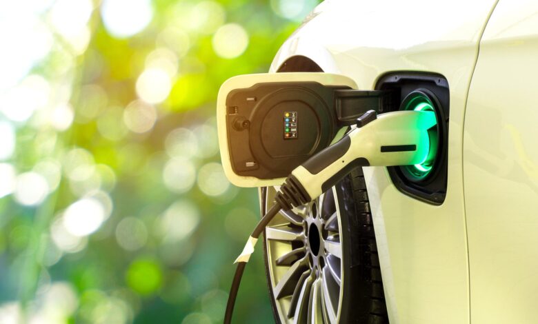 Biden Administration Enhances Fuel Standards to Boost Electric Vehicle Adoption – One Green Planet Biden Administration Enhances Fuel Standards to Boost Electric Vehicle Adoption – One Green Planet