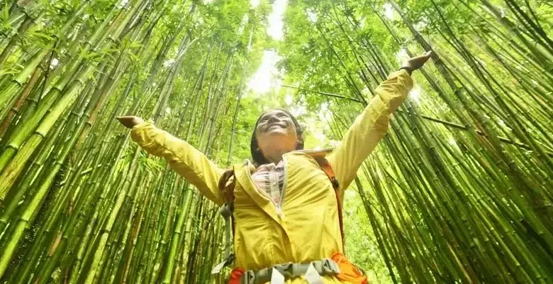 A Sustainable Growth Roadmap • Carbon Credits A Sustainable Growth Roadmap • Carbon Credits