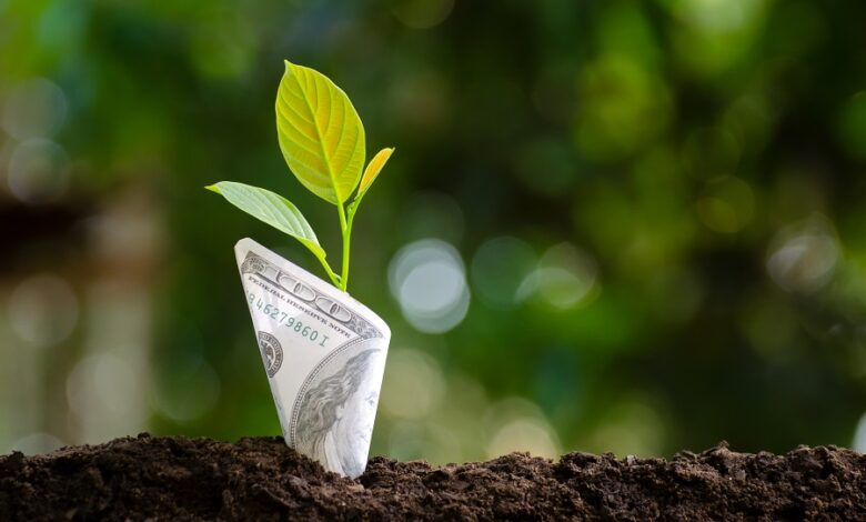 Transforming Rural Payments With Fintech Solutions Transforming Rural Payments With Fintech Solutions