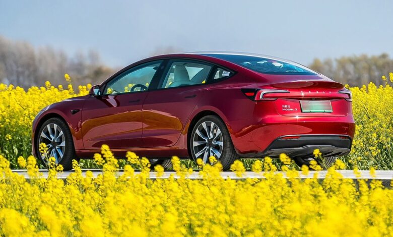 Europe’s electric vehicle tariffs seemingly trigger response from China Europe’s electric vehicle tariffs seemingly trigger response from China