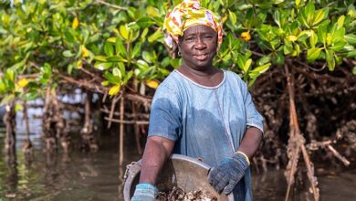 Towards sustainable resource management for small-scale fisheries