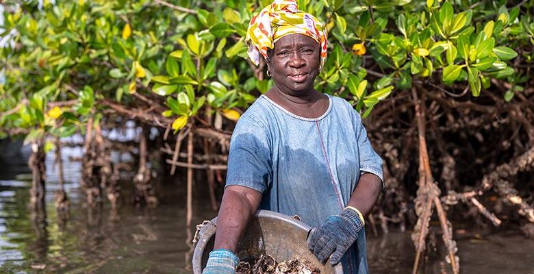 Towards sustainable resource management for small-scale fisheries Towards sustainable resource management for small-scale fisheries
